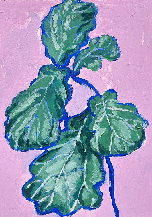 fiddle leaf fig